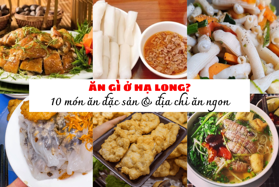Ăn gì ở Hạ Long? 10 món ăn đặc sản Hạ Long ngon “quên lối về” & địa chỉ chuẩn dân bản địa
