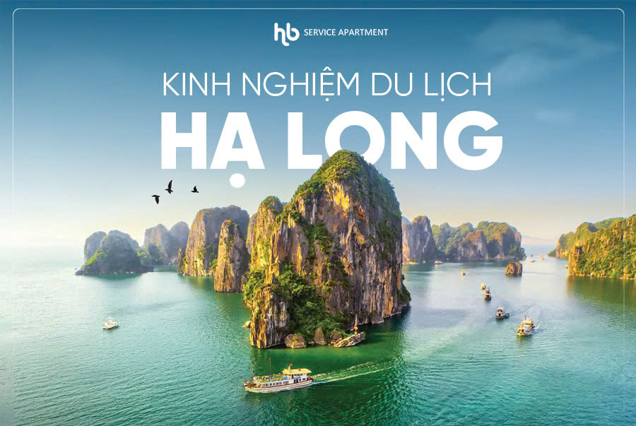 Kinh nghiệm du lịch Hạ Long 2025 : Thời điểm, lịch trình, ăn ở